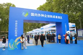 “种安安”才能“粮满满” 一起看看种子的“看家本领”图片