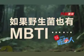 开屏策划｜如果野生菌也有MBTI……图片