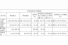 AI芯片股寒武纪一季度营收顶一年，能否“平替”英伟达？图片