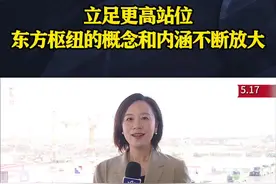 立足更高站位 东方枢纽的概念和内涵不断放大图片