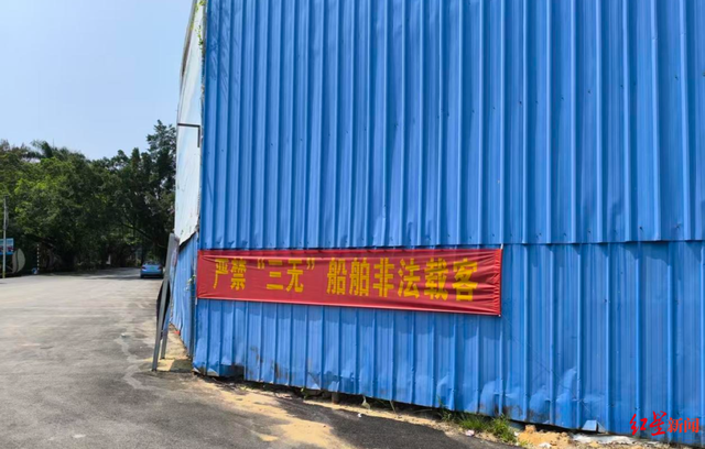 广西钦州三娘湾 “出海观豚” 乱象：十余艘船围堵，小海豚遭追后死亡，有船长称看不到退票，怕亏钱不停追