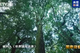 百花齐放的茶文化，看各民族怎样喝→图片