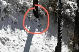 其中一人已遇难！登秦岭失联两女子已找到 挑战极限可别拿生命开玩笑图片