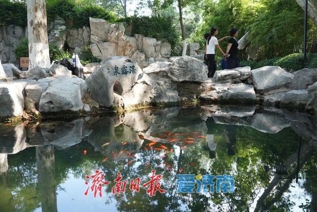 一年四季 泉在济南丨泉声叮咚迎客至 盛夏济南“泉水游”持续火热
