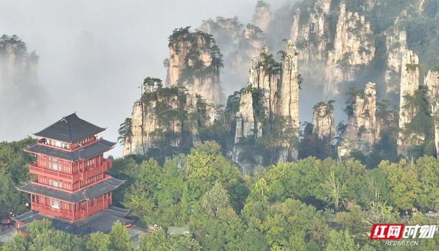 云雾为墨，峰林成画！国庆张家界美成“行走的水墨画”