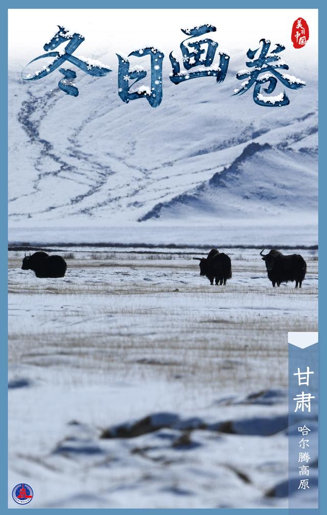 海报丨冬日画卷