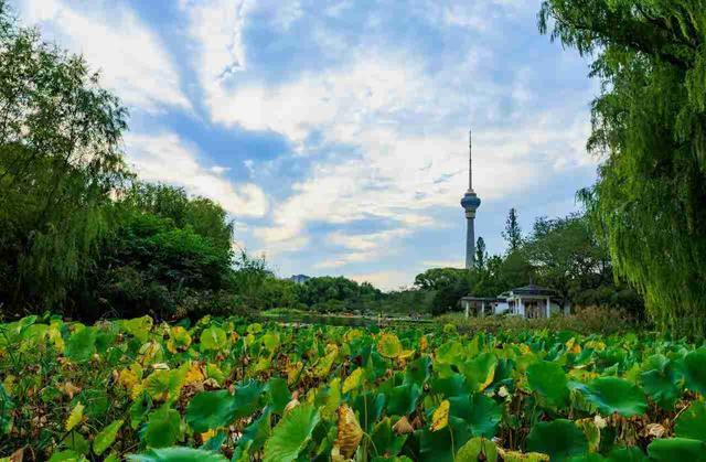 京城拍客今日精选｜长城披彩秋韵起 公路逐风骑行燃