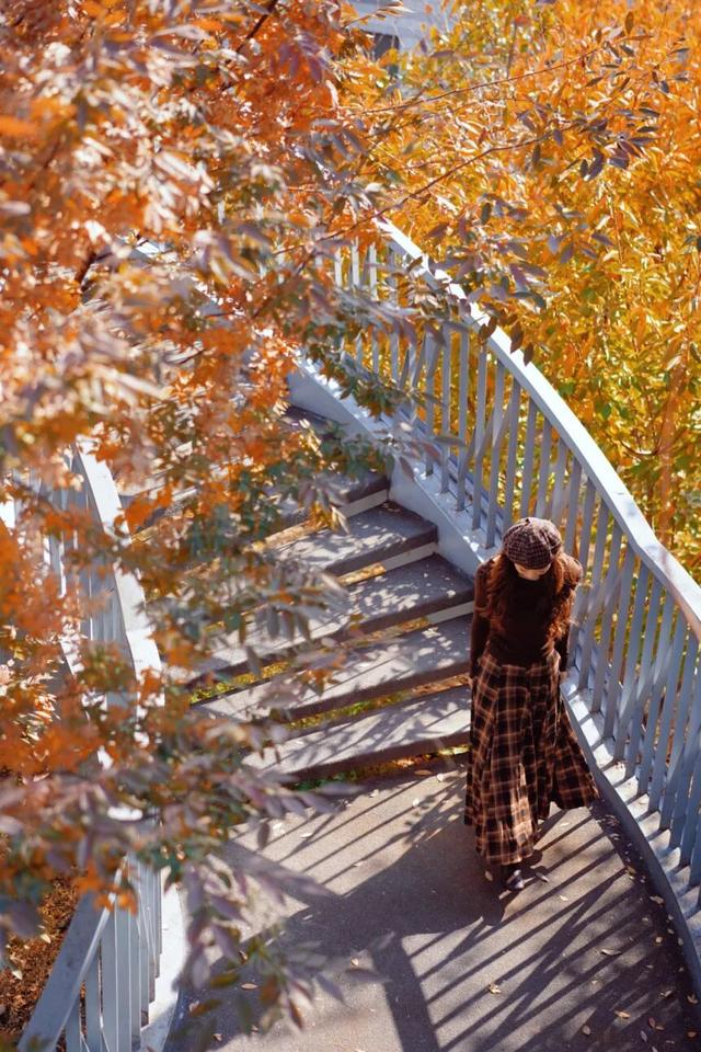 普陀·遇见新视角｜解锁专属你的氛围感大片，秋冬就来普陀这里拍→