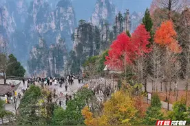 武陵源上榜亚洲文旅大赏年度榜单，国际影响力再升级图片