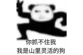 800个！喜欢哪个随便挑！（真不是猛男）图片