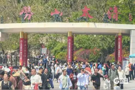 景区免费、半价福利……“爸”气过节，游青岛有好礼图片