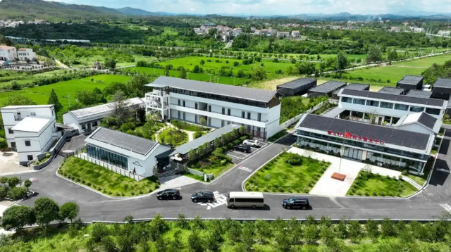 大悟：从“芷兰花开”到“村田水墨”，领略文旅新名片