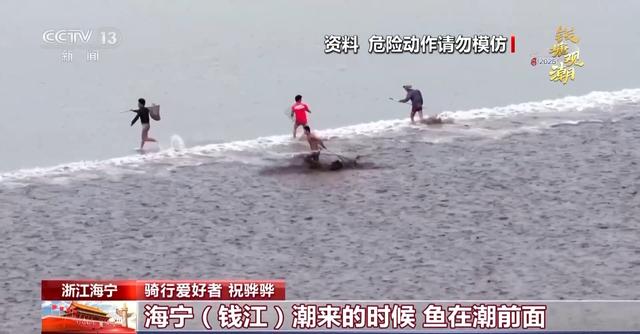 跟着课本去看潮