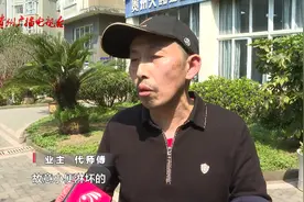 熊孩子乱撒尿导致电梯停运！400多户业主气麻了，物业回应图片