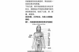 内脏器官疾病时的牵涉性痛区，你知道吗？图片