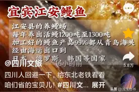 四川人怒了：“要把你吊起来打三天三夜吗？”我却笑死在评论区里图片