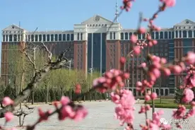 李生财：我们这一届图片