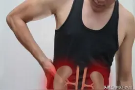 万病不治求于肾，几味常见的补肾药，益肾精、补肾气，让你活力强图片