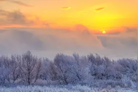 扎鲁特草原冬日美图片