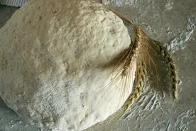 发酵主食营养高，酵母、小苏打、泡打粉，选哪个更好？图片