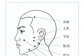 超全人体穴位图解及作用功效，一目了然，方便实用！图片