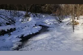 东北人爱吃的“母豹子”，广东人见了都得瑟瑟发抖图片