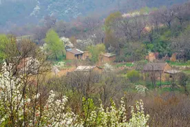 大唐秦岭别墅风云，翠微宫遗址访古图片