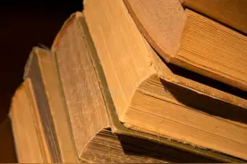 《尘封档案》系列——004.“113潜伏组”覆灭记图片