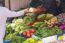 小说推荐∣《放生》作者：刘庆邦图片