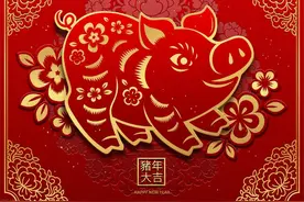 老话常说:十猪九富，哪几个月出生的生肖猪命好，你有在其中吗？图片