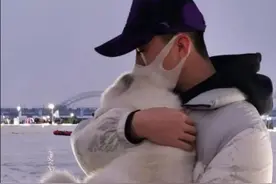 哈尔滨网红雪狐咬伤游客？工作人员：抓破皮，当场解决图片