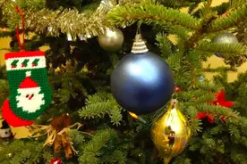 好痒!圣诞树不扔?当心生病!加拿大人圣诞综合症和这装饰有关!图片