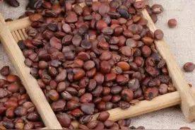 张仲景“千古安神第一方”，专治失眠，让你睡个好觉图片