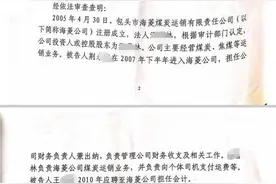 煤老板“自爆式”举报财务总监虚开发票2.82亿！多名公职人员涉案图片