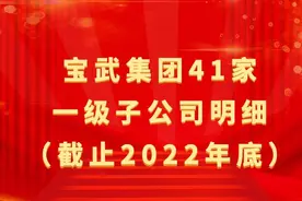 宝武集团41家一级子公司明细（截止2022年底）图片