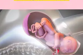 顺产生孩子有多痛！一组3D图告诉你，妈妈太伟大，生而为人要感恩图片