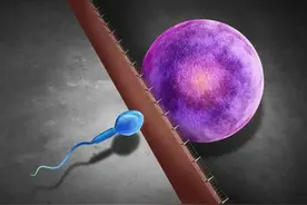 自然界的生殖隔离究竟有多可怕？图片