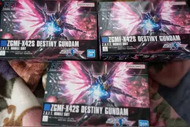 高达seed剧场版上映后 命运高达模型直接买断货 飞鸟：我终于翻身了图片