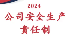 Word |【汇编】2024年度公司安全生产责任制汇编（参考模板）图片
