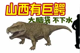 【史前怪兽】山西史前有大巨鳄！图片
