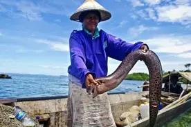 世界上唯一没有国籍的民族：一生只能待在水里，身体开始“进化”图片