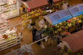 晚点独家丨美团、抖音的新对手：多多买菜盯上本地生活，现已暂停图片