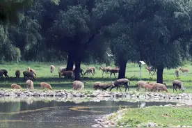 牧之野：知道得少一点不是坏事图片