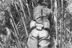 对越自卫反击战时，越军的竹签战杀伤力极强，我军是如何破阵的？图片