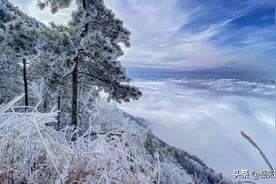 美绝！岳阳天岳幕阜山雾凇雪景实景图片