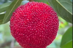 去药店买药，走医保统筹，真是挺划算的图片