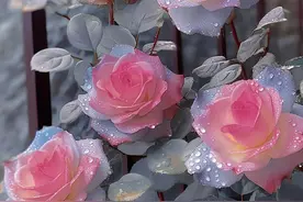 【我的思念】无论你身在何处，无论我们相隔的距离多远图片