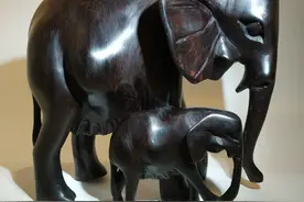 世界上六种“价格不菲”的木材，你见过几个？图片