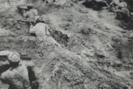 四野第44军战功赫赫，却被裁撤番号；是因两头冒尖，还是另有原因图片