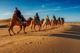 将黄河水引入沙漠后，内蒙古出现罕见反应！引凌入沙工程有多牛？图片